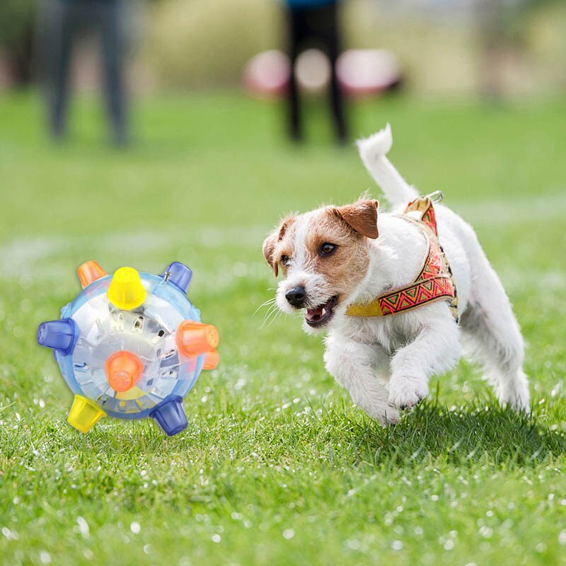 LED Jumping Pet Ball