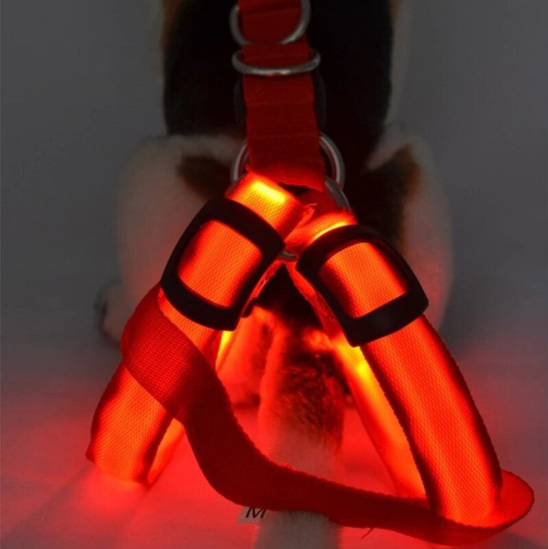 LED Dog Harness