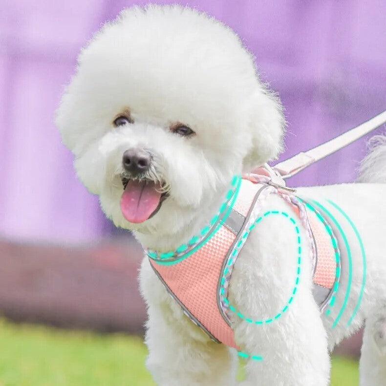 Dog Harness Leash Set