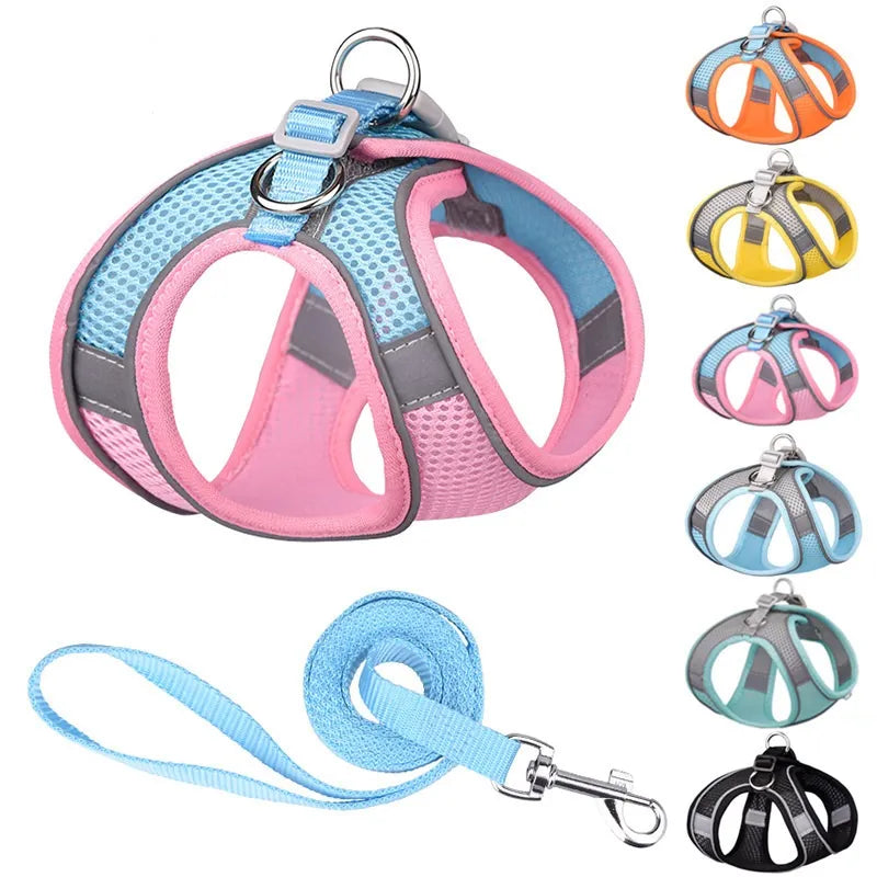 Dog Harness Leash Set