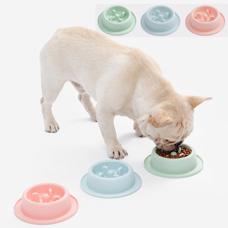 Pet Slow Food Bowl