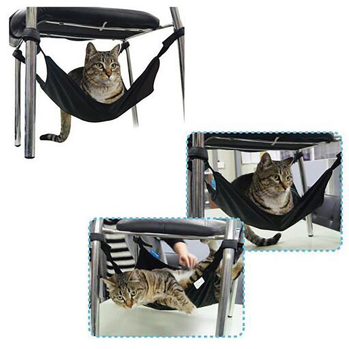 Cat Hammock