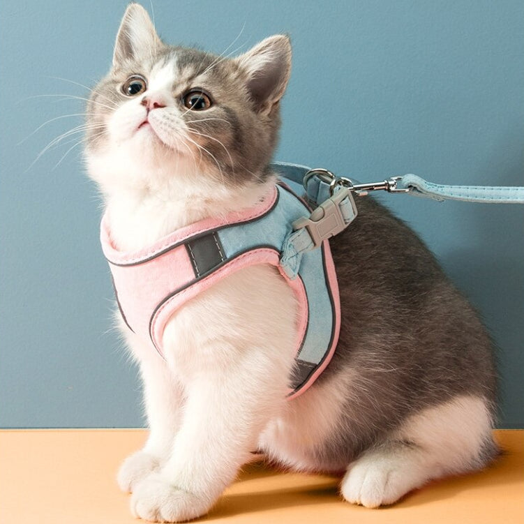 Harness Leash Set