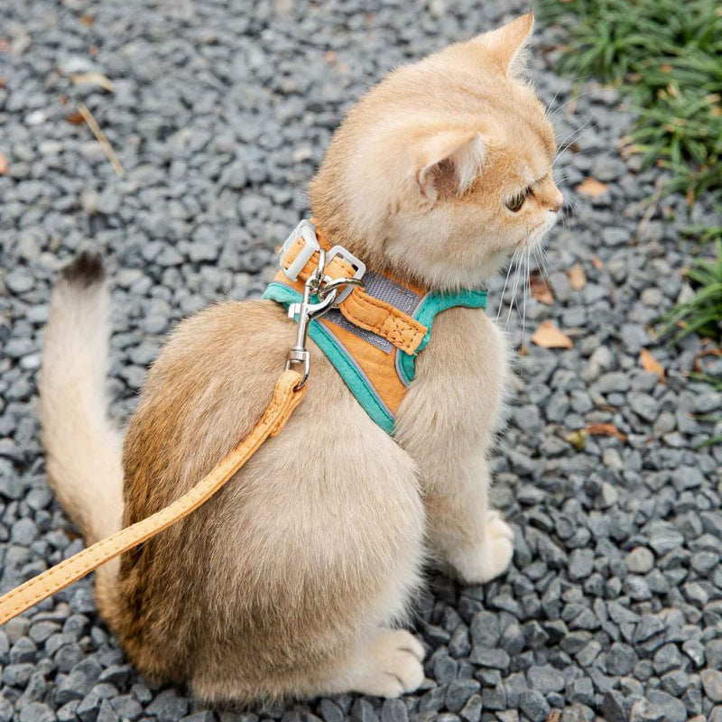 Harness Leash Set